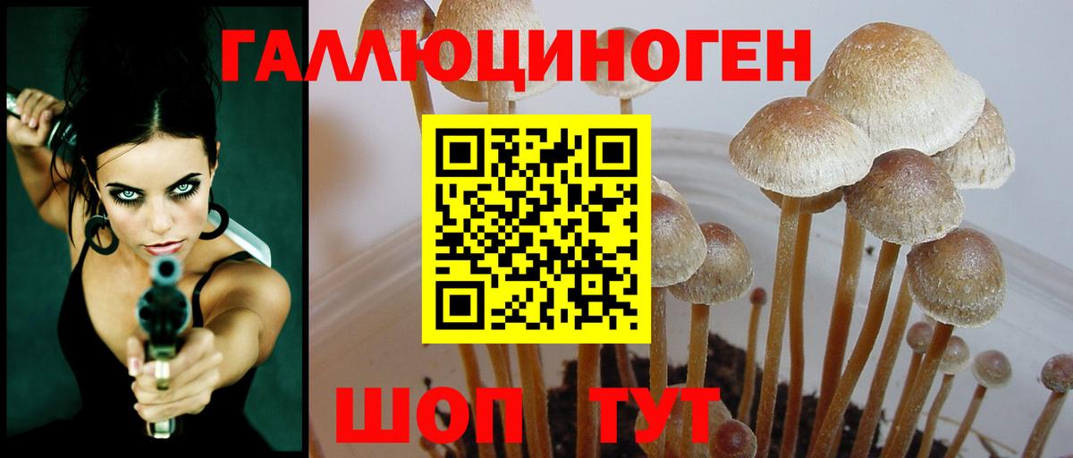 Коркино  Галлюциногенные грибы мухоморы  Галлюциногенные грибы прущие грибы  Вход с VPN 